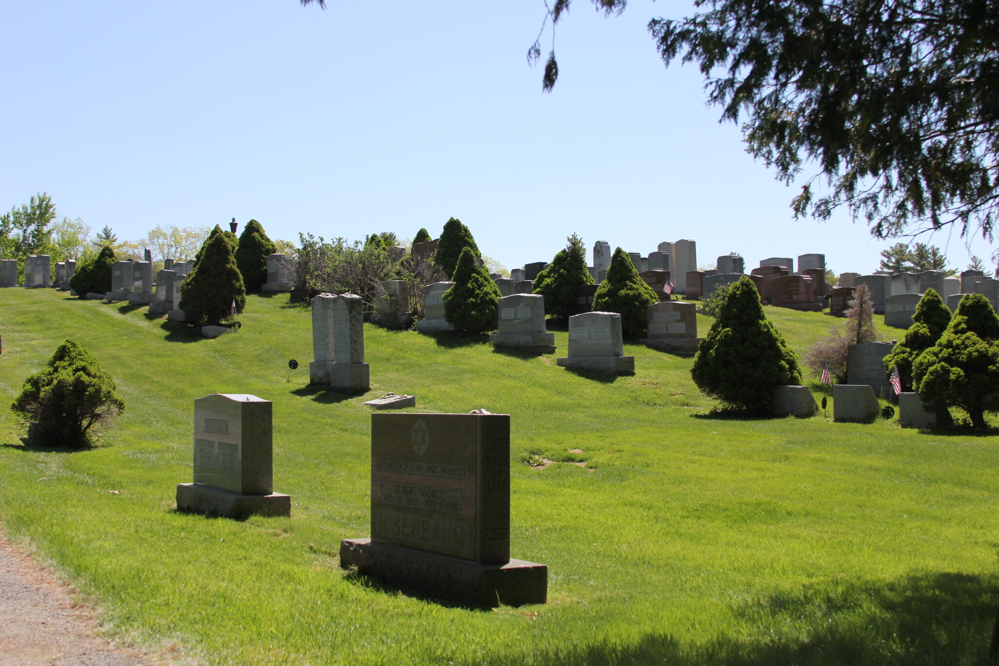 Beth Israel Cemetery Incorporated